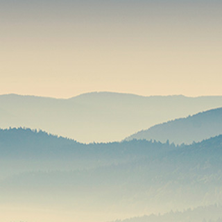 呼叫TA急速系统