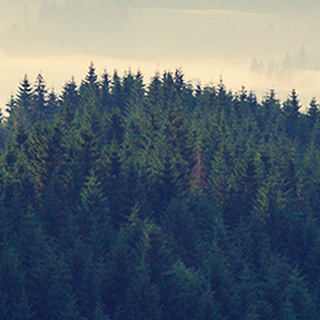 免费用虚拟号码发电话