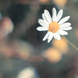 安全可靠放心的小七手机号在线网页轰炸